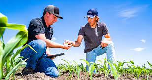 Aqronomiya üzrə mütəxəssis